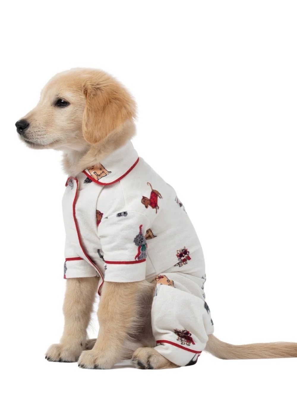 Pajamagram Dog pajamas, size Medium.